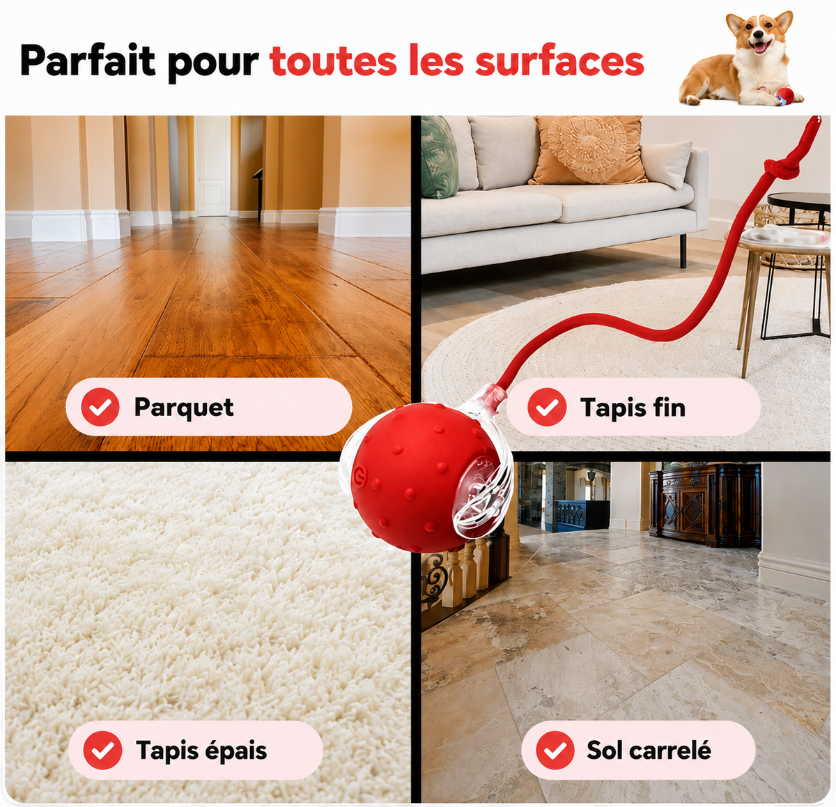 Paw Motion™ 2.0