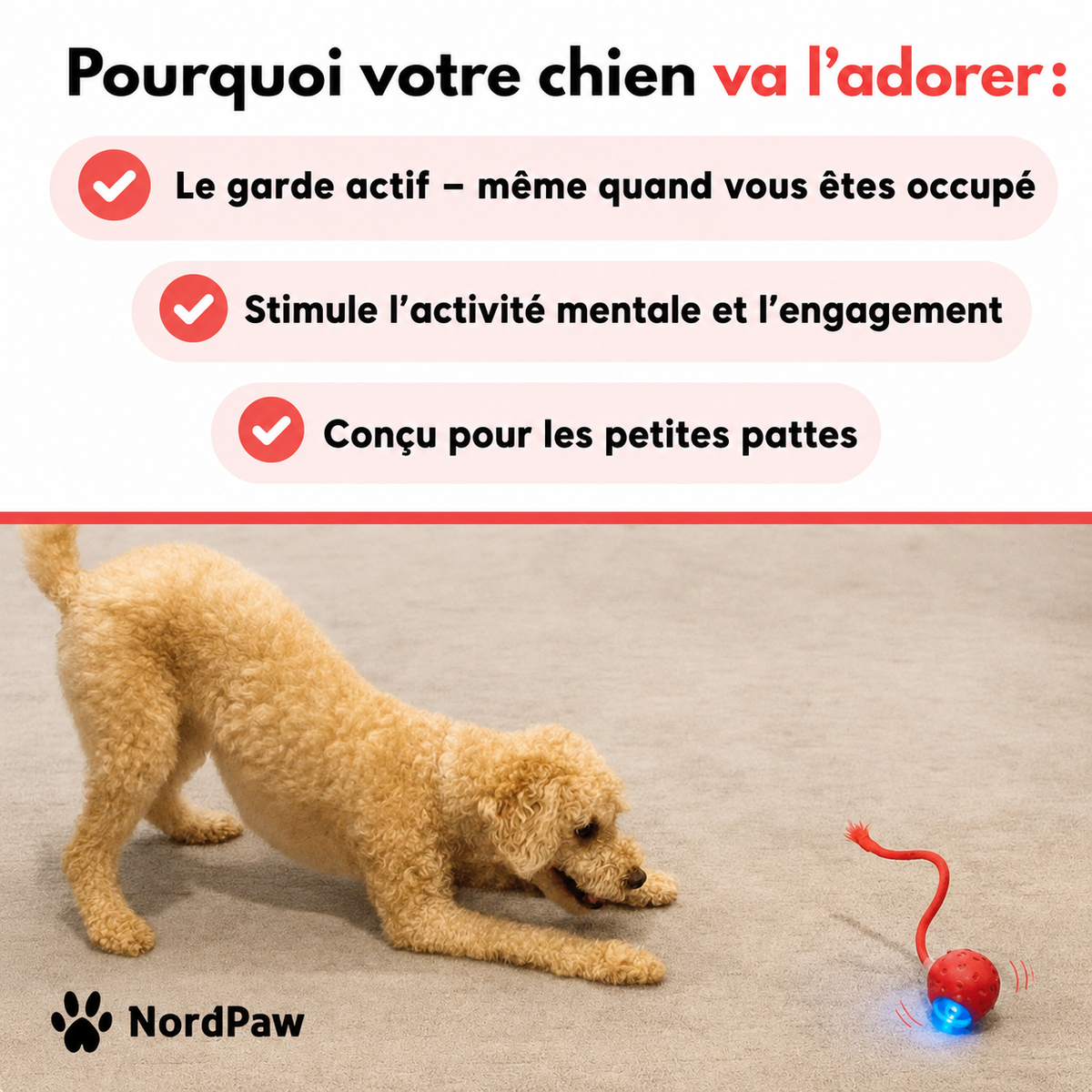 Paw Motion™ 2.0