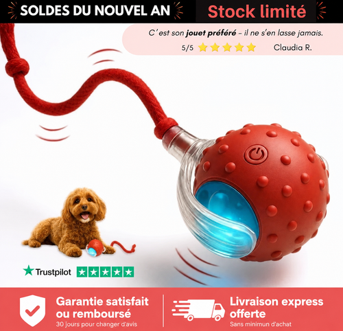 Paw Motion™ 2.0