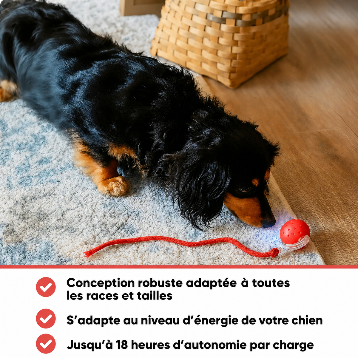 Paw Motion™ 2.0